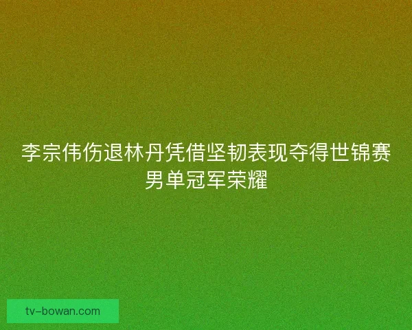 李宗伟伤退林丹凭借坚韧表现夺得世锦赛男单冠军荣耀