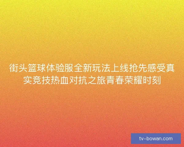 街头篮球体验服全新玩法上线抢先感受真实竞技热血对抗之旅青春荣耀时刻